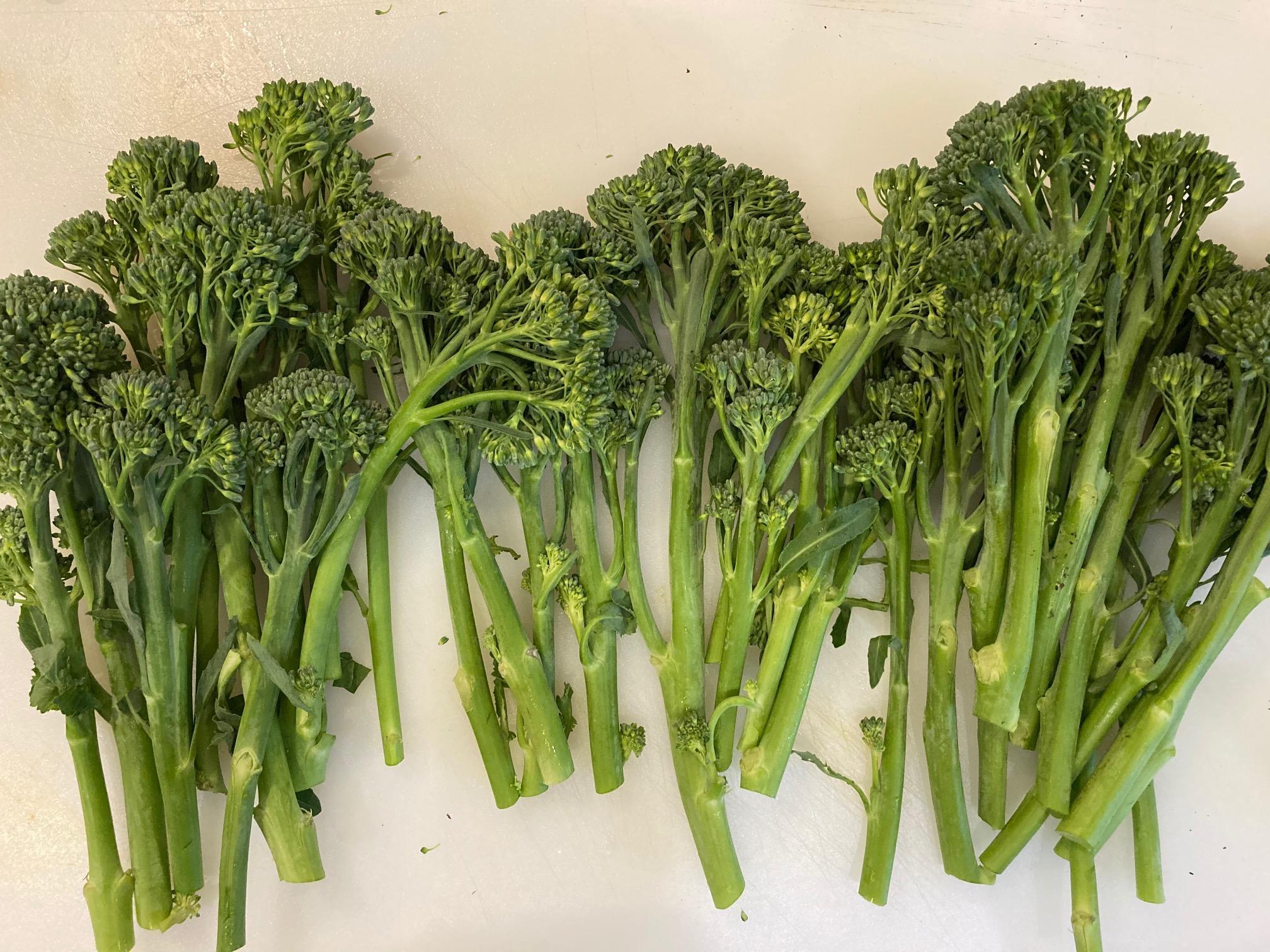 Blanched wild broccoli
